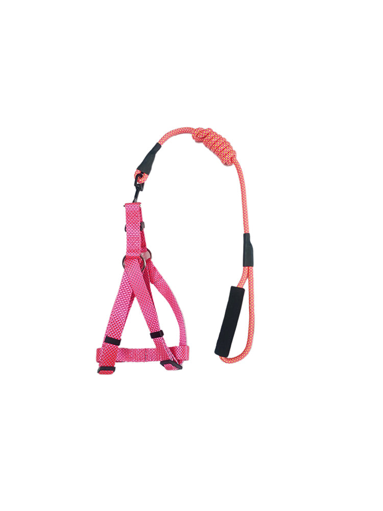 Pink dog harness leash in india